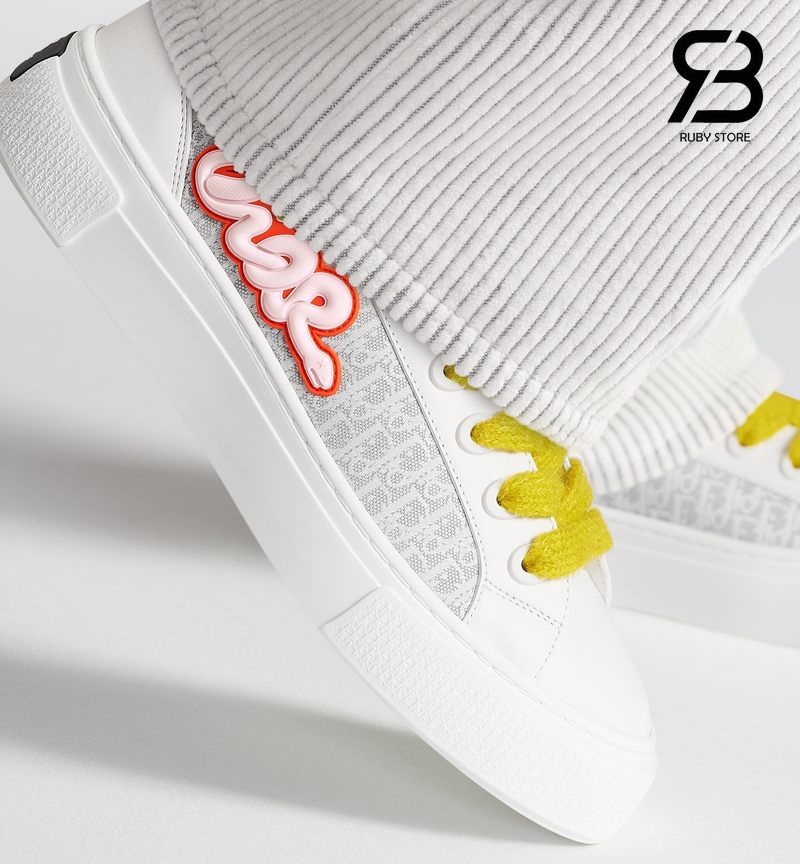 Dior B33 KAWS White Gray