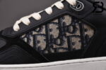 Giày Dior B27 Low-Top Black Siêu Cấp