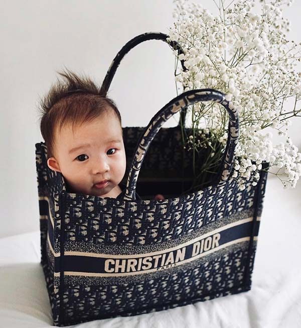 Dior Book Tote bag that can hold children