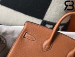 Túi Hermes Birkin Bag 25cm Brown Togo Best Quality 99% Auth