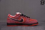 Giày Nike SB Dunk Low Red Lobster Siêu Cấp