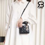 Túi Micro Lady Dior Bag Màu Đen 12CM Best Quality