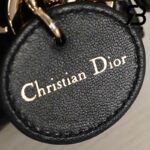 Túi Micro Lady Dior Bag Màu Đen 12CM Best Quality