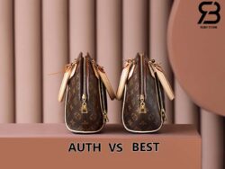 Túi LV Ellipse PM Monogram Nâu Best Quality