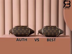 Túi LV Ellipse PM Monogram Nâu Best Quality