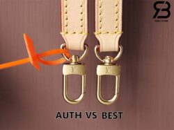 Túi LV Ellipse PM Monogram Nâu Best Quality