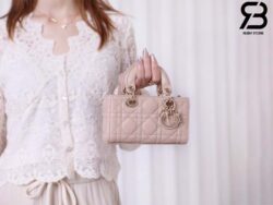 Túi Dior Lady D-Joy Micro Bag Rose Des Vents Da Cừu 16CM Best Quality