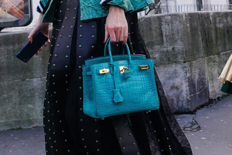 Túi Hermes Da Cá Sấu - Giấc Mơ Xa Xỉ Của Hàng Triệu Cô Gái