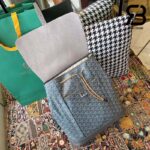 Ba Lô Goyard Alpin MM Backpack Màu Xám Canvas 39CM Best Quality