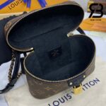 Túi LV Vanity Chain Pouch Monogram Reverse 19CM Best Quality