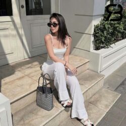 Túi Goyard Anjou Mini Bag Màu Xám 20CM Best Quality