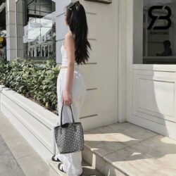 Túi Goyard Anjou Mini Bag Màu Xám 20CM Best Quality