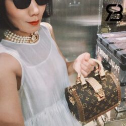Túi LV Speedy Trunk 20 Monogram Màu Nâu Best Quality