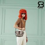 Túi Gucci Ophidia Small Shoulder Bag Beige Ebony GG Supreme Nâu Best Quality
