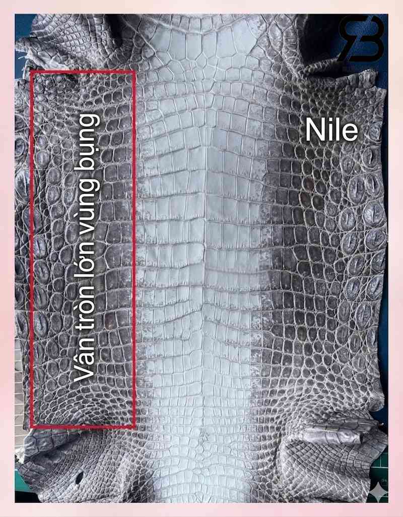 Da cá sấu vùng Nile sản xuất túi xách
