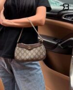Túi Gucci Ophidia Mini Bag GG Beige Brown 764960 Size 19CM sang trọng và thời thượng